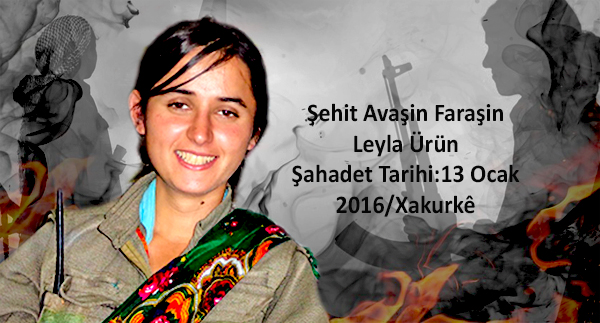 ŞEHİT AVAŞİN FARAŞİN