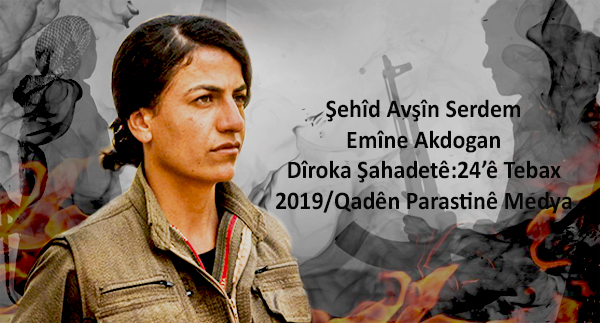ŞEHÎD AVŞÎN SERDEM